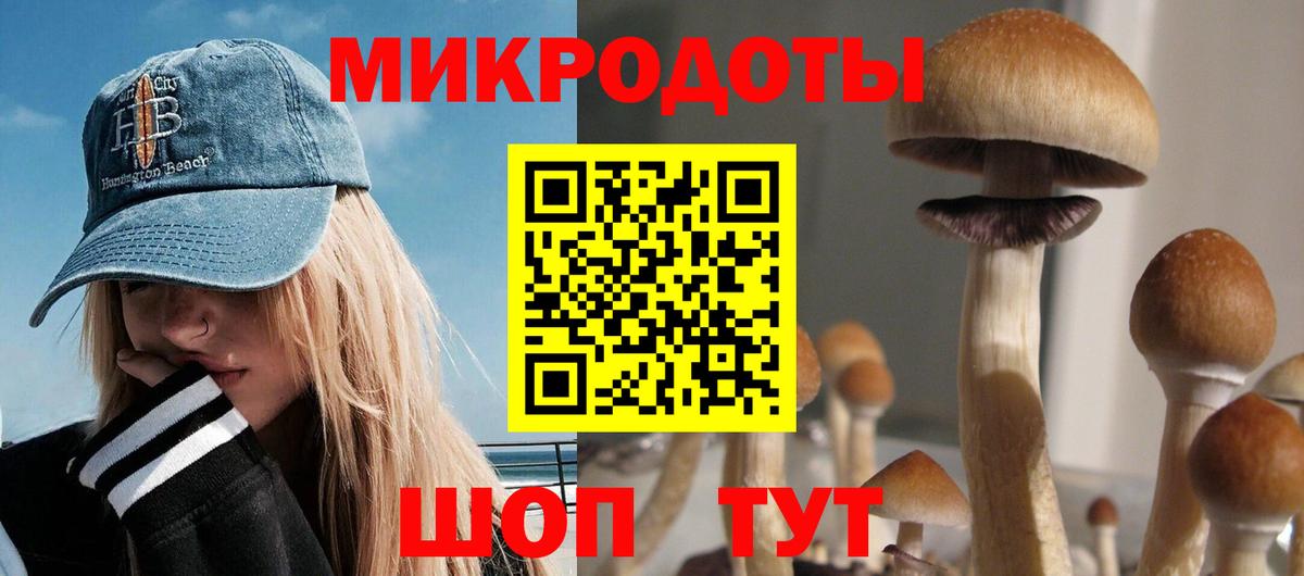 Галлюциногенные грибы ЛСД  Вход с VPN  Клин 